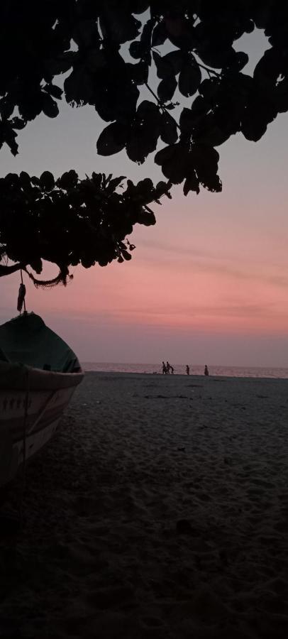 Alappuzha Beachcampers Only For Foreign Traveler'S מראה חיצוני תמונה