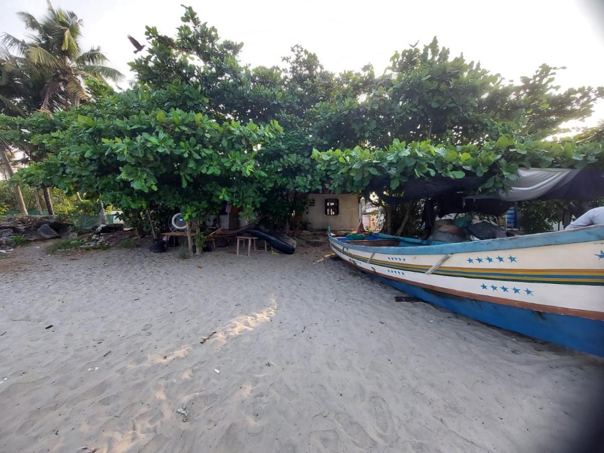 Alappuzha Beachcampers Only For Foreign Traveler'S מראה חיצוני תמונה